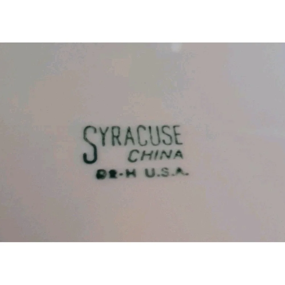 Vintage Syracuse China Platter-Wintergreen Pattern-Very Good-11 1/4